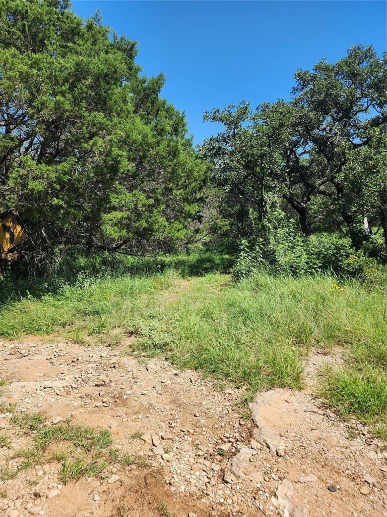 0.25 acres in Burnet County - photo 6