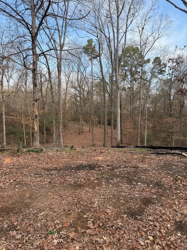 1.15 acres in Texas County gallery image 4