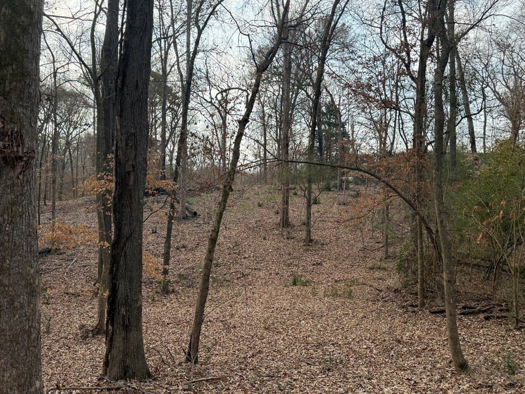 1.15 acres in Texas County gallery image 2