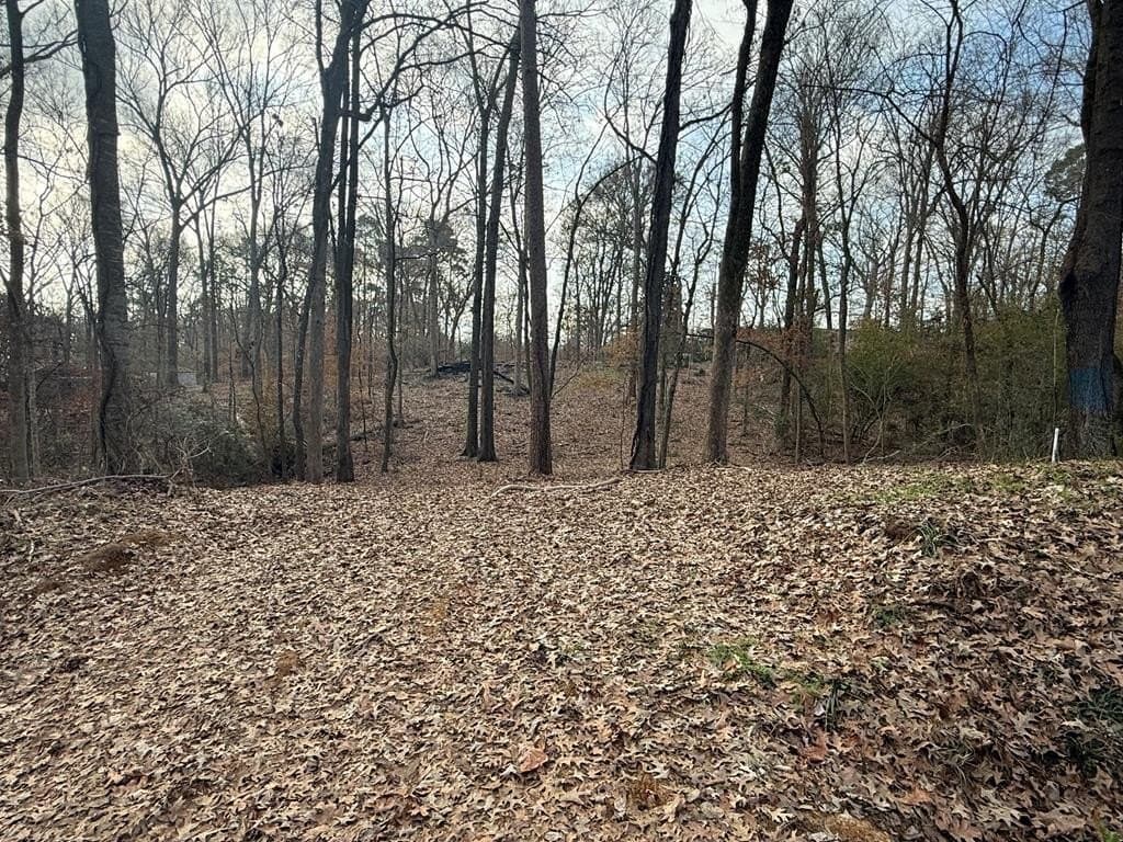 1.15 acres in Texas County featured view