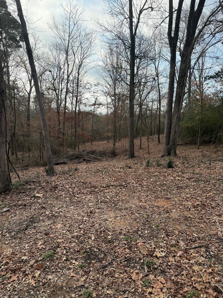 1.15 acres in Texas County gallery image 3