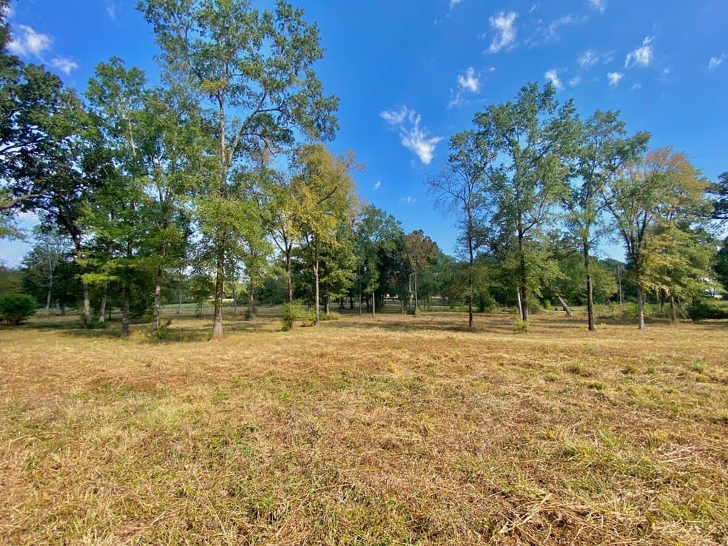 5.42 acres in Texas County gallery image 4