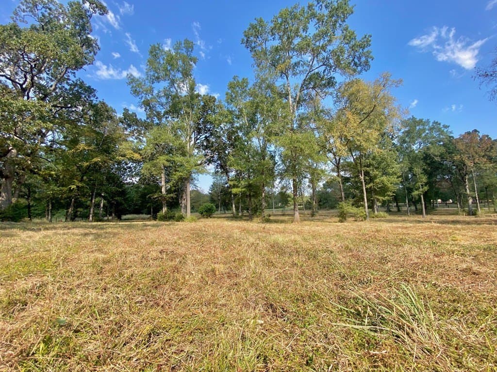5.42 acres in Texas County featured view