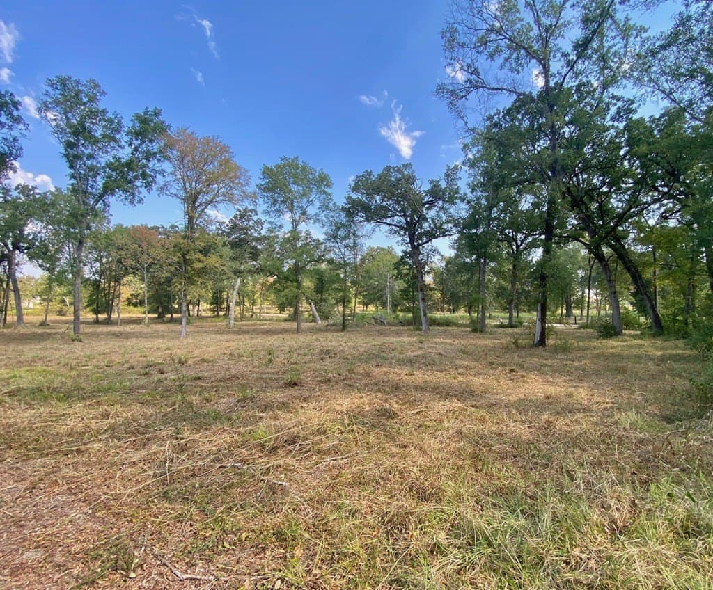 5.42 acres in Texas County gallery image 2