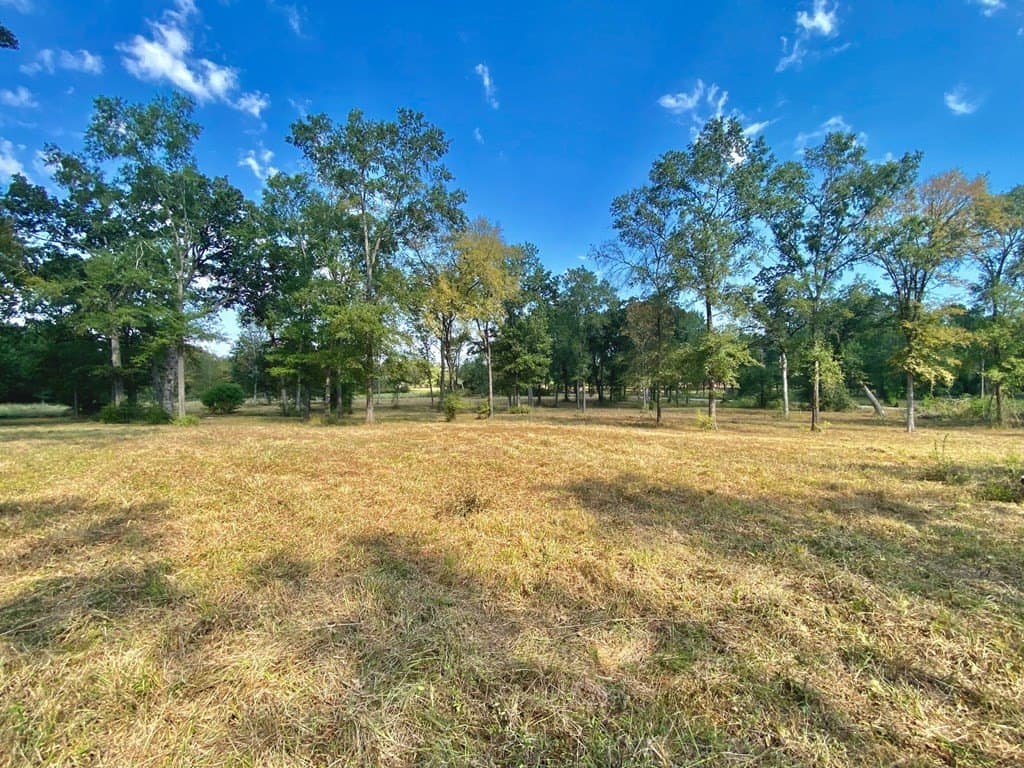 5.42 acres in Texas County gallery image 3