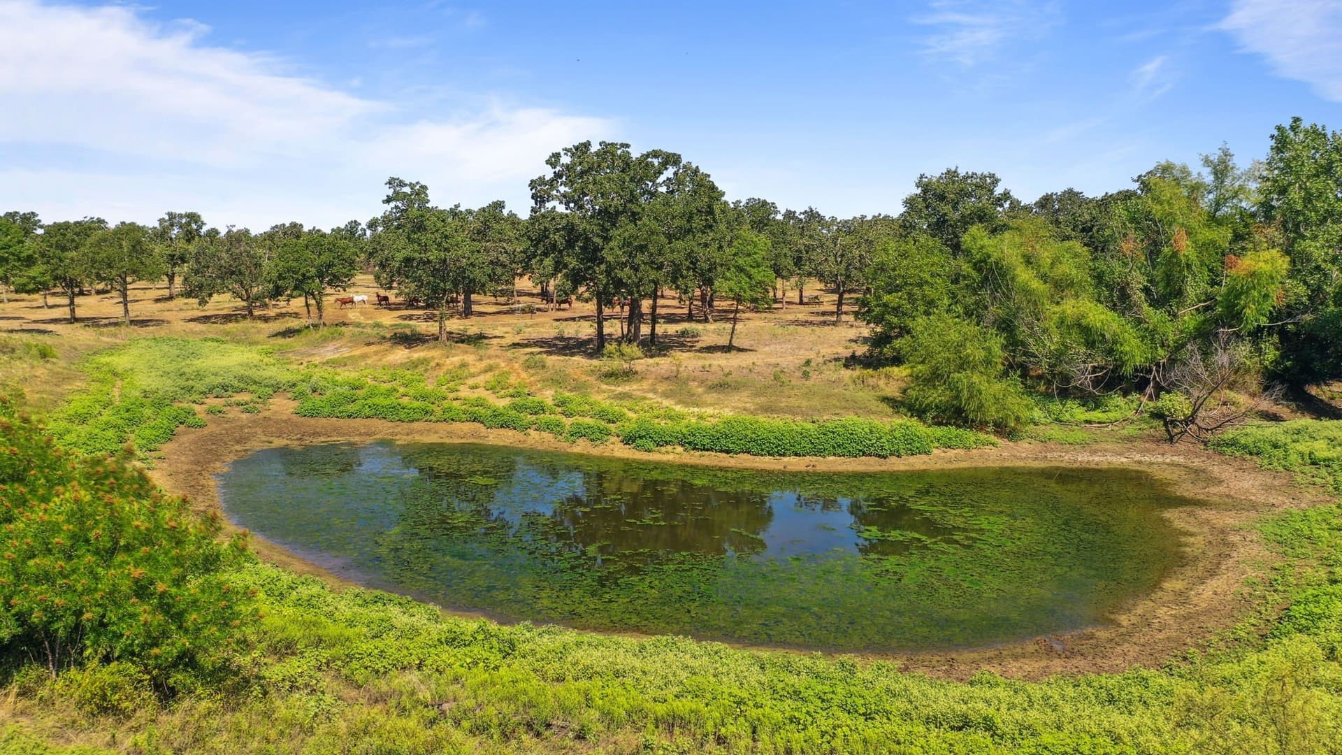 35.96 acres in Parker County - photo 39
