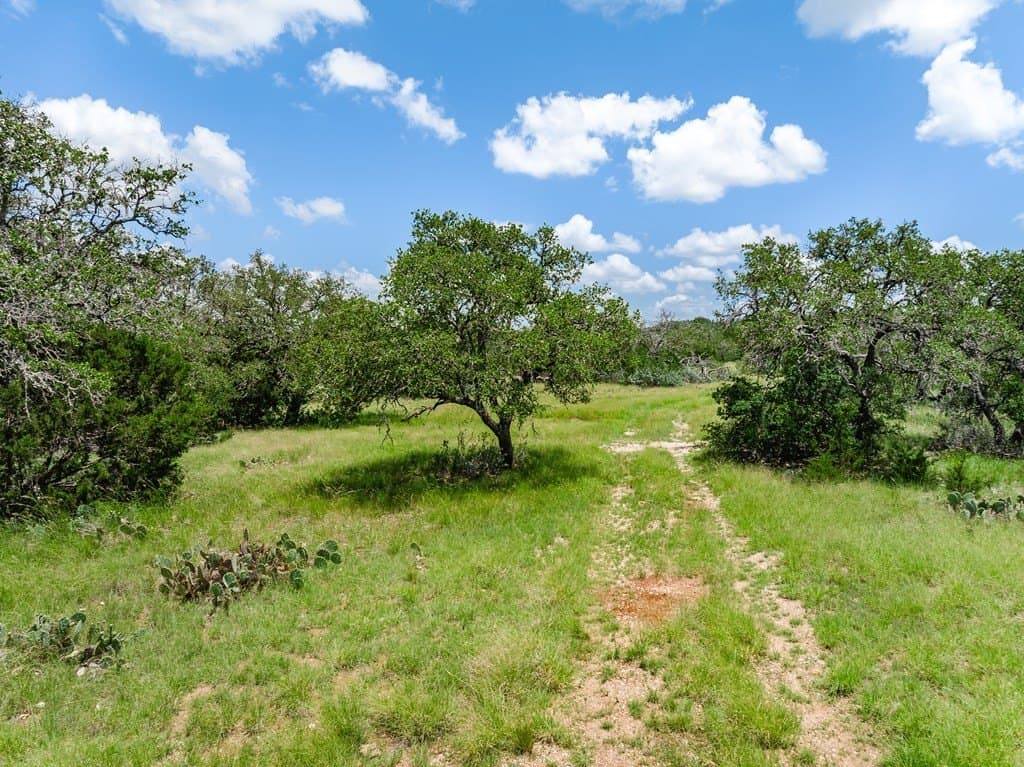 11.87 acres in Gillespie County - photo 23