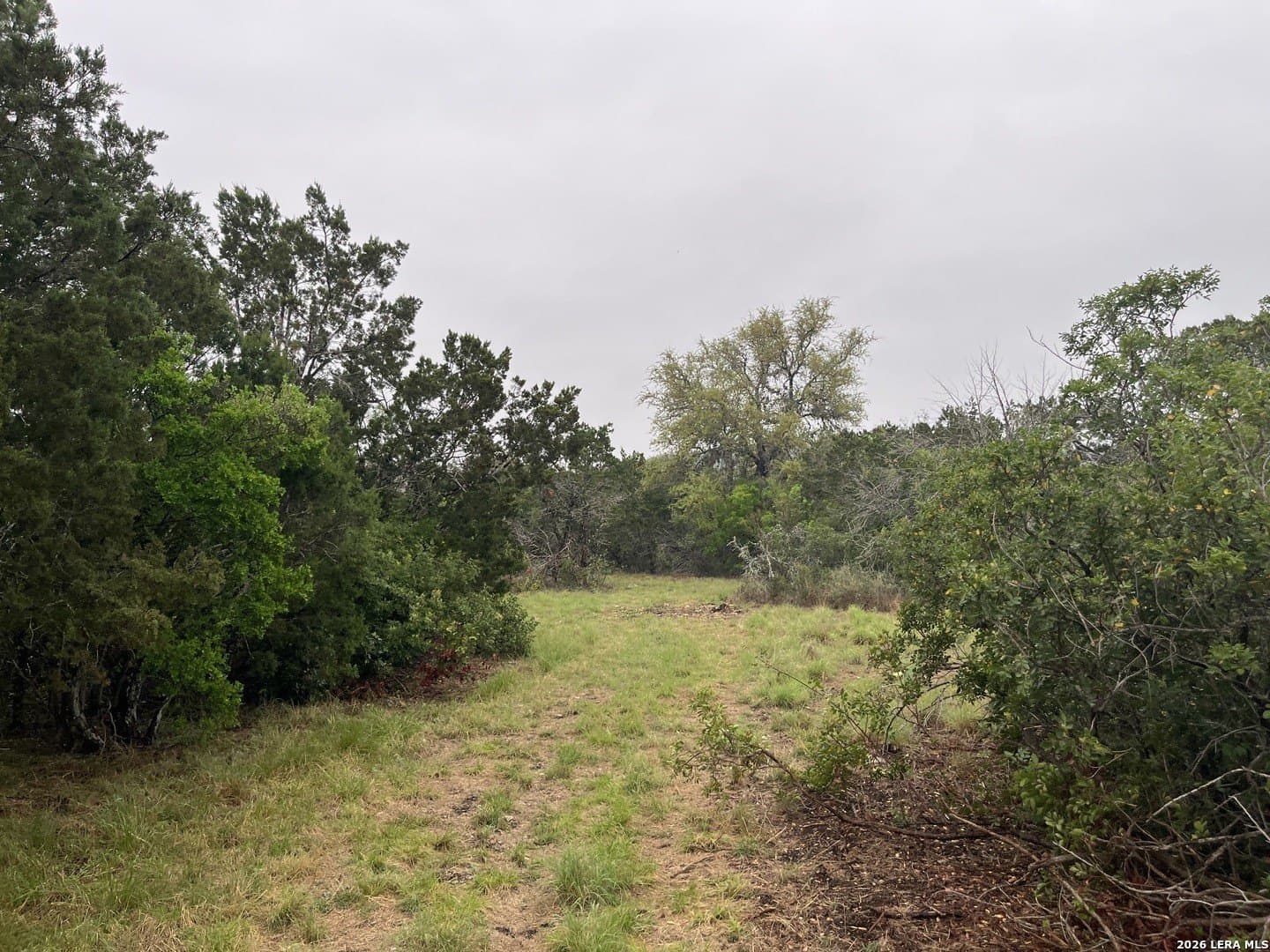 25.47 acres in Uvalde County gallery image 4