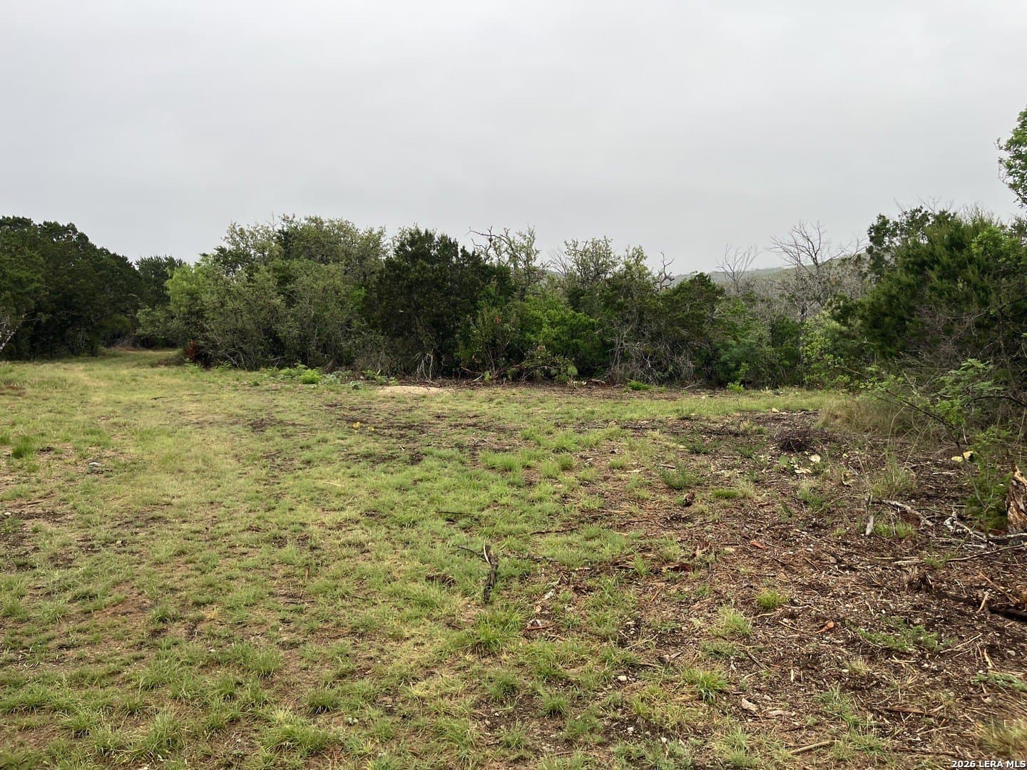 25.47 acres in Uvalde County gallery image 2
