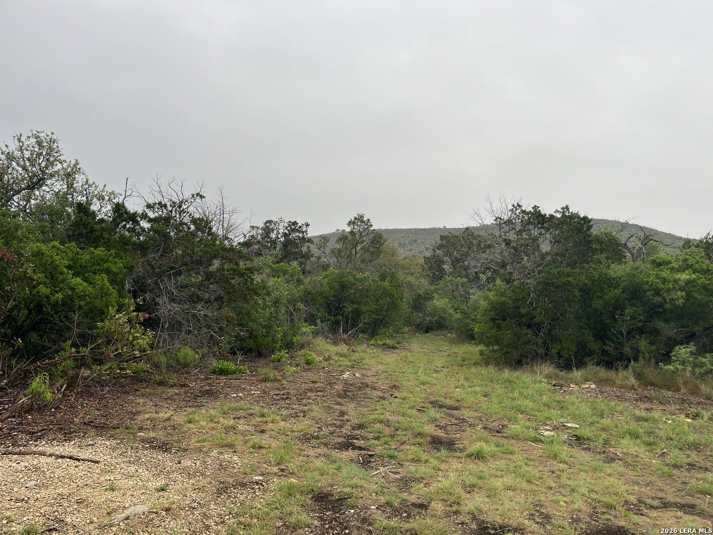 25.47 acres in Uvalde County gallery image 3
