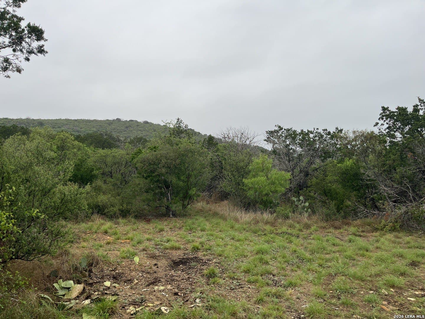 25.47 acres in Uvalde County - photo 6