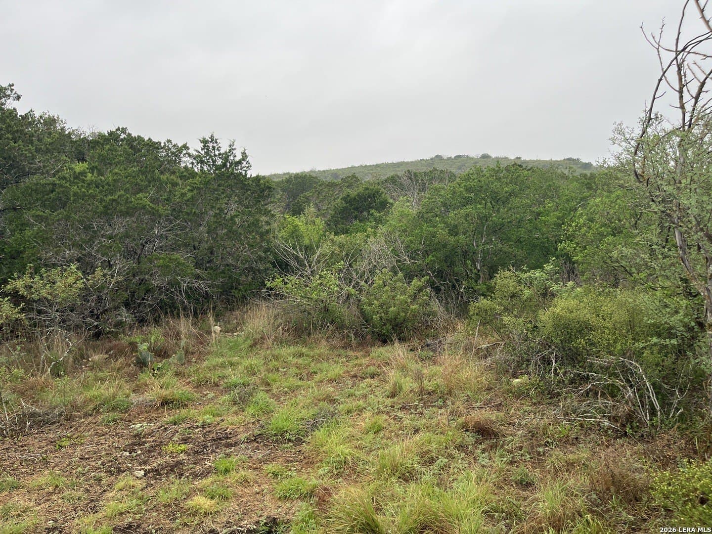 25.47 acres in Uvalde County featured view