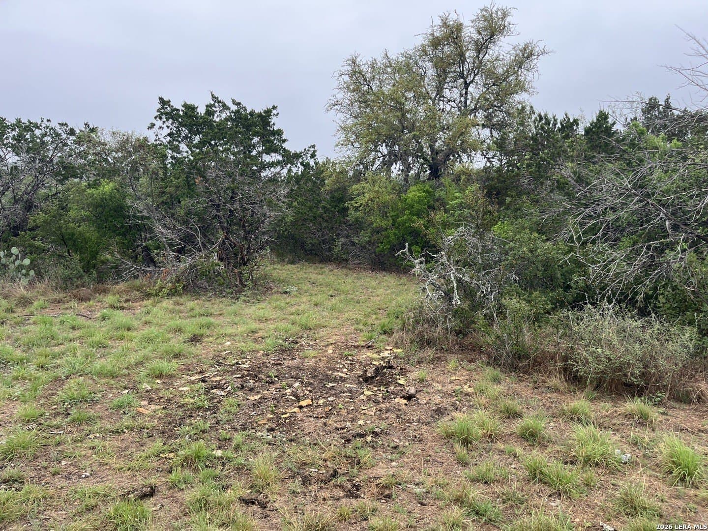 25.47 acres in Uvalde County - photo 7