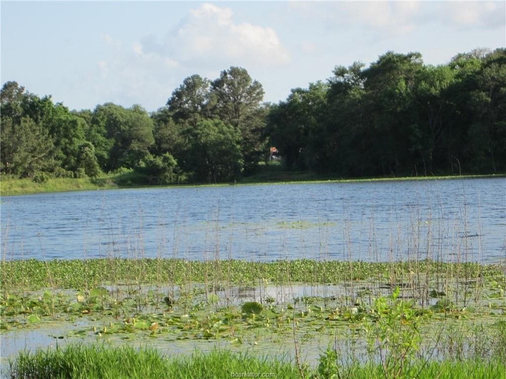 0.3 acres in Burleson County - photo 17