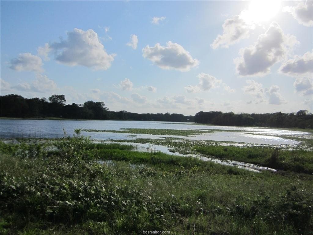 0.3 acres in Burleson County - photo 15