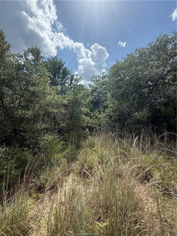 0.3 acres in Burleson County - photo 6