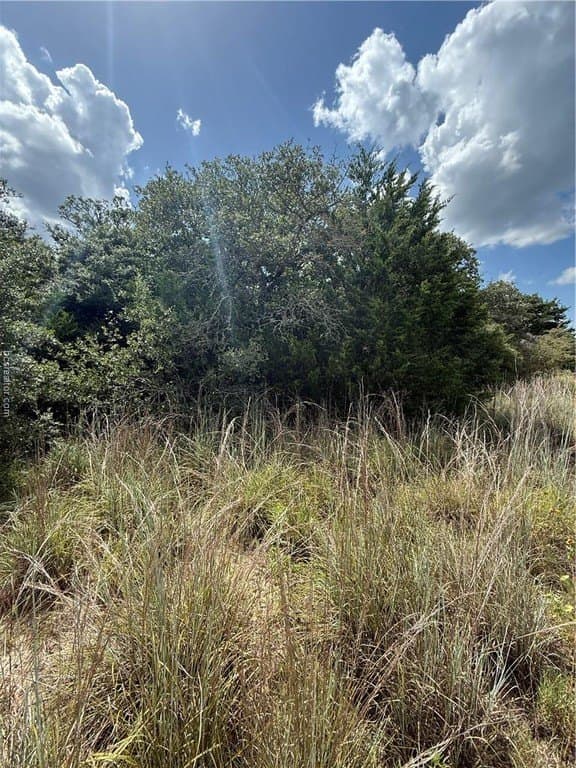 0.3 acres in Burleson County featured view