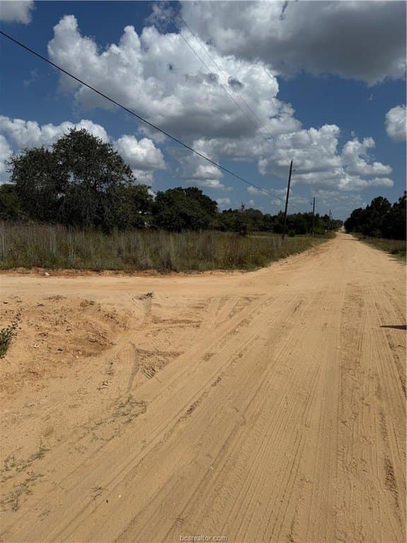 0.3 acres in Burleson County - photo 9