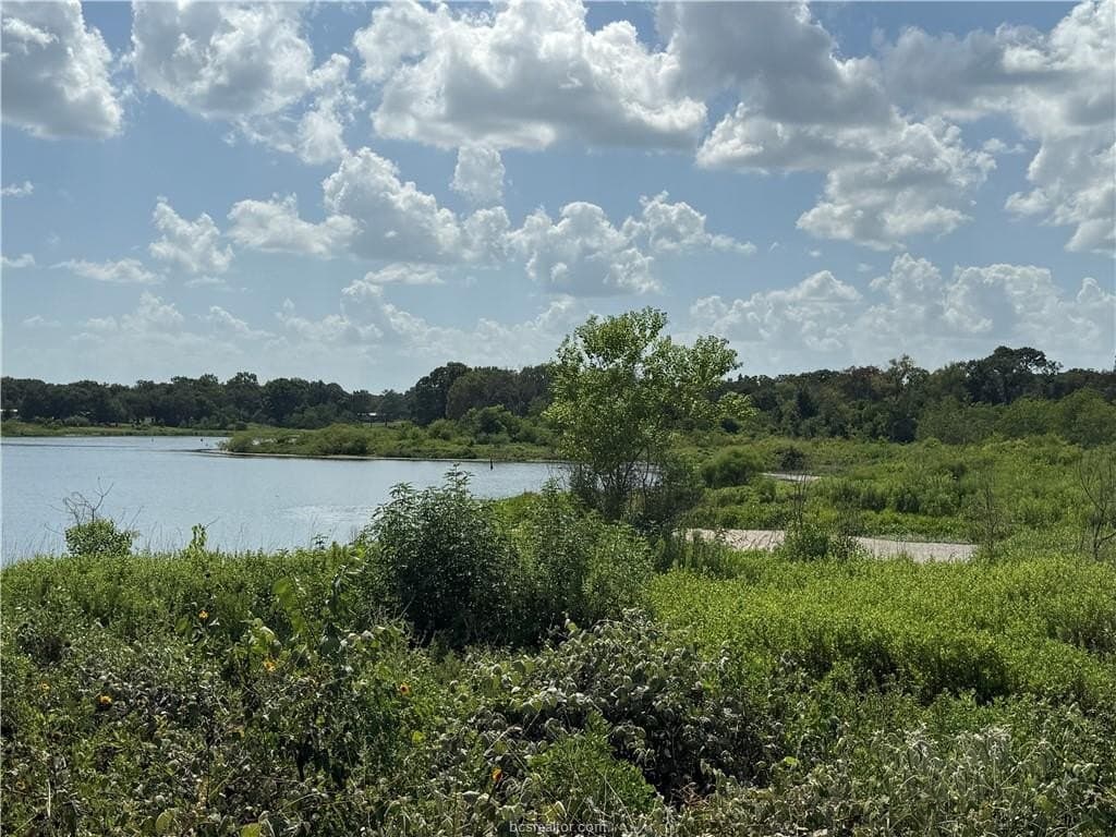 0.3 acres in Burleson County - photo 12