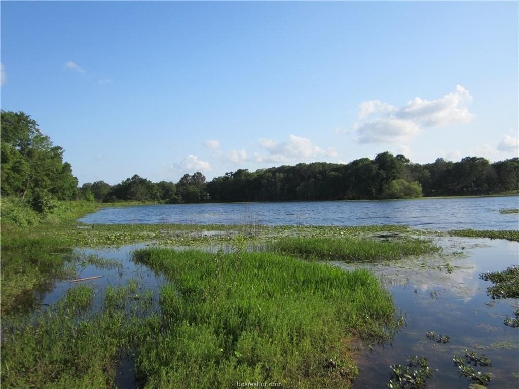 0.3 acres in Burleson County - photo 16