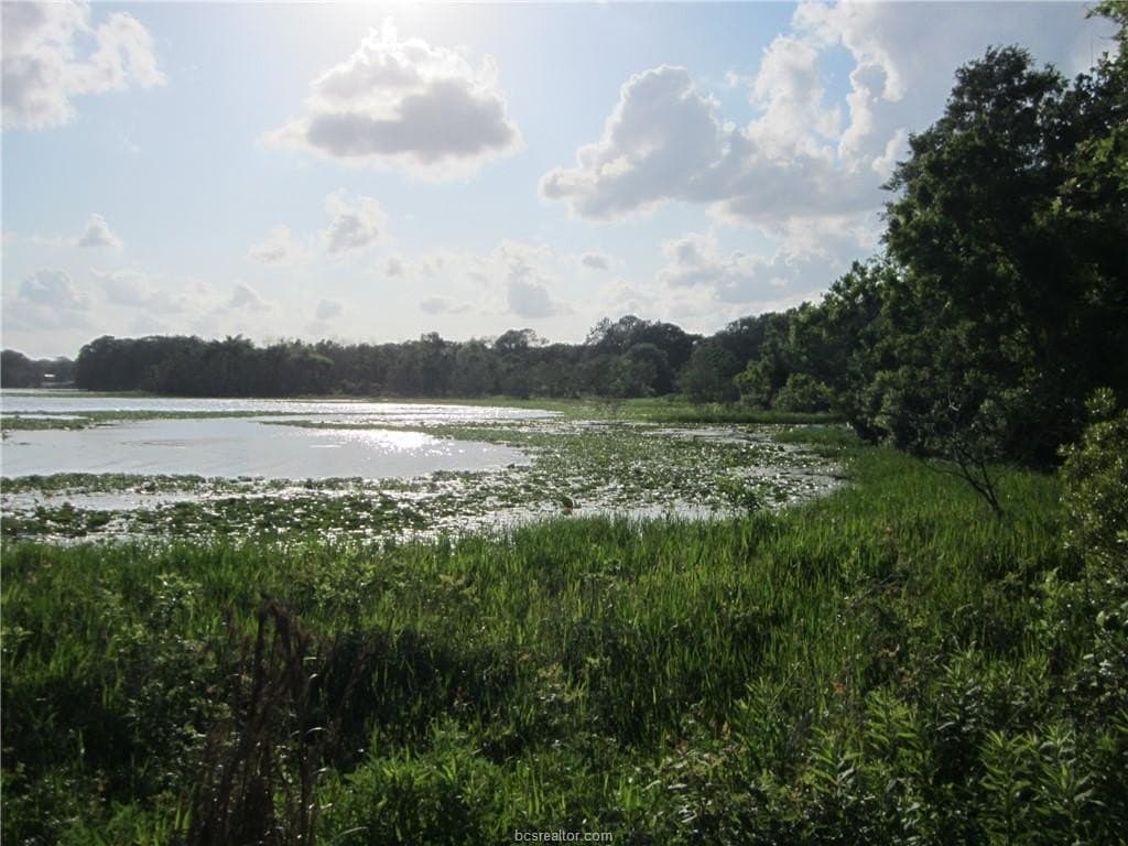 0.3 acres in Burleson County - photo 18