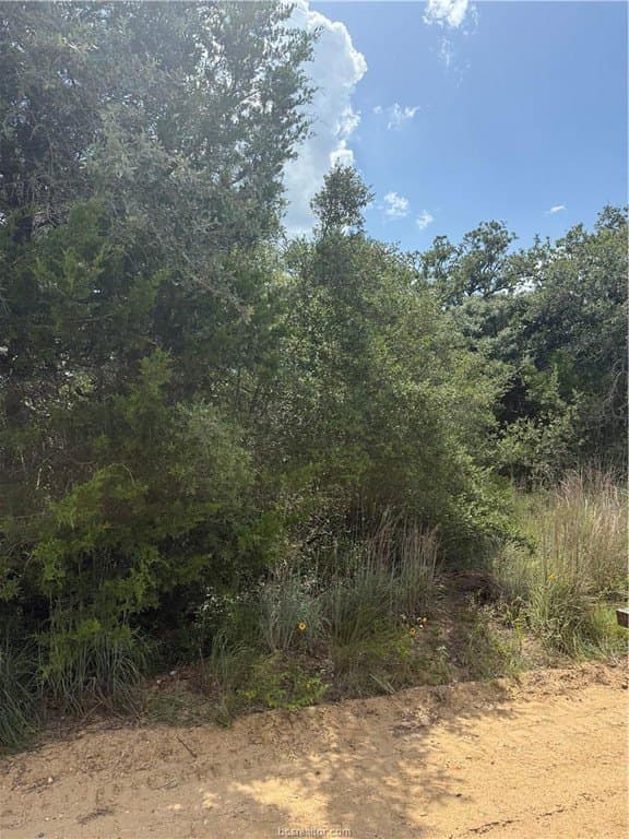 0.3 acres in Burleson County - photo 7