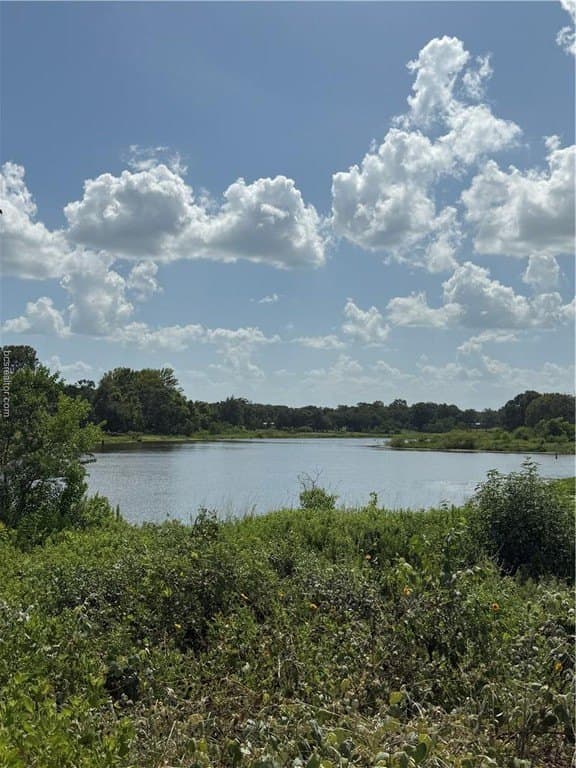 0.3 acres in Burleson County gallery image 3