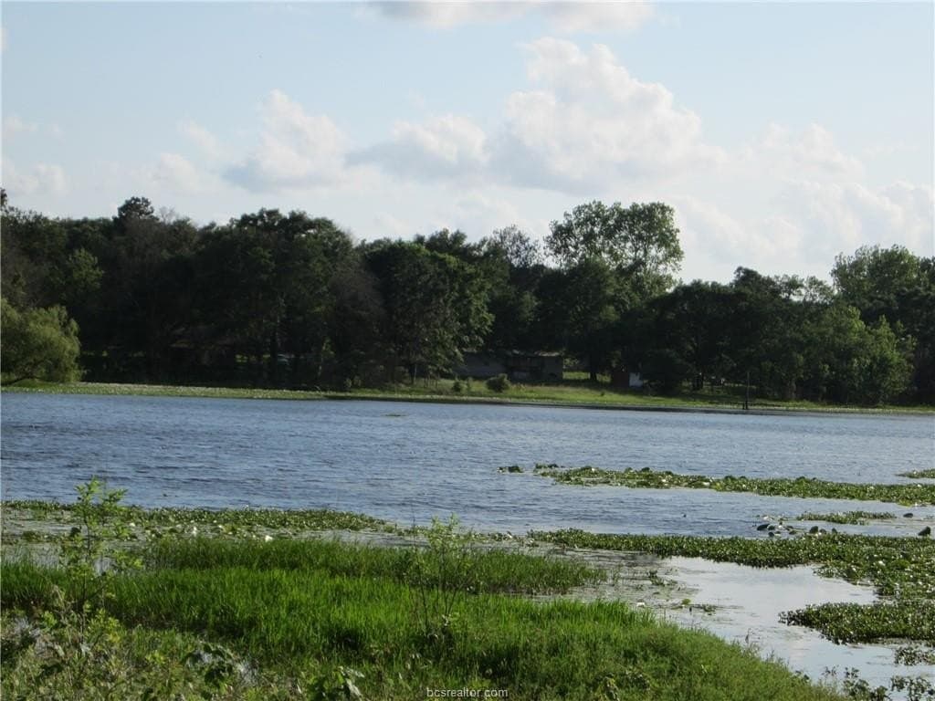 0.3 acres in Burleson County - photo 10
