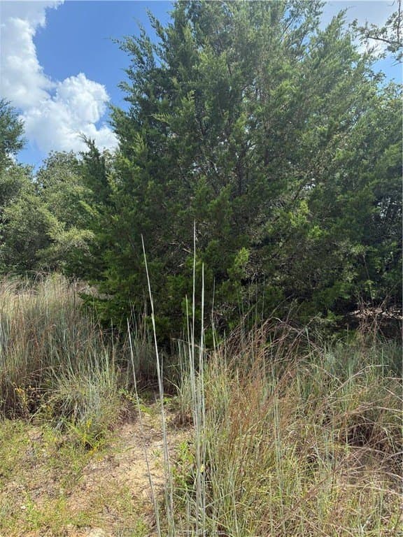 0.3 acres in Burleson County - photo 11