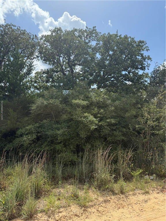 0.3 acres in Burleson County gallery image 4