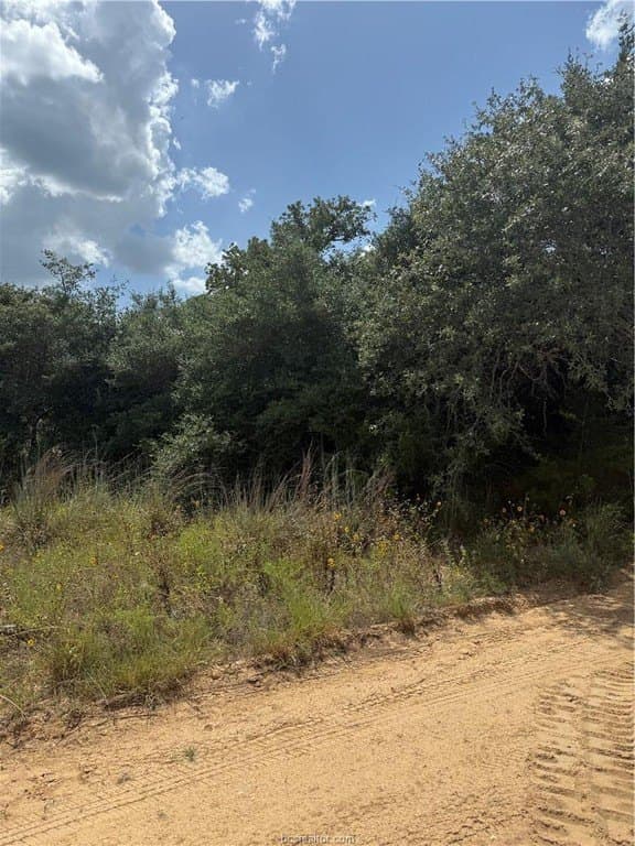 0.3 acres in Burleson County - photo 8