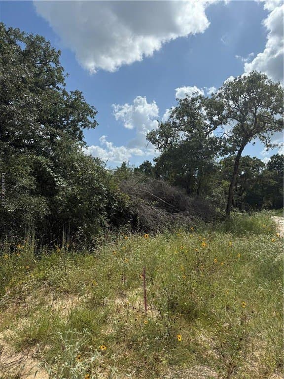 0.3 acres in Burleson County