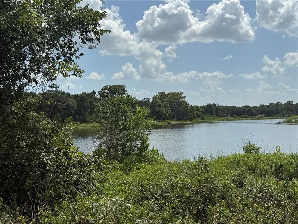 0.3 acres in Burleson County - photo 13