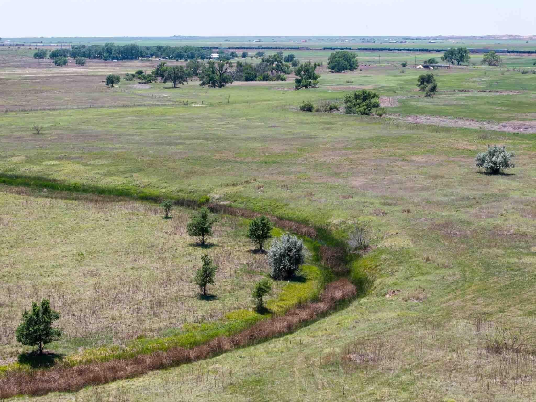 18 acres in Randall County - photo 16