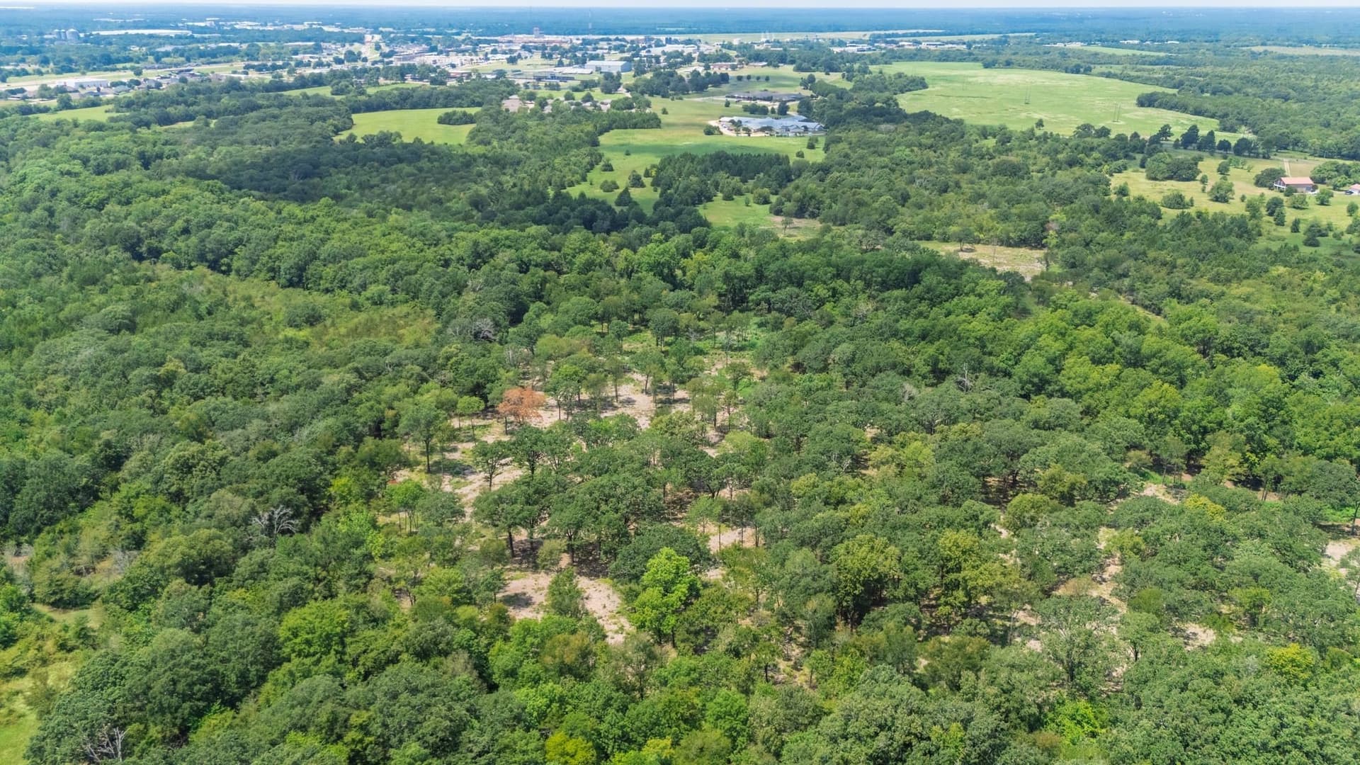 83.83 acres in Lamar County - photo 13