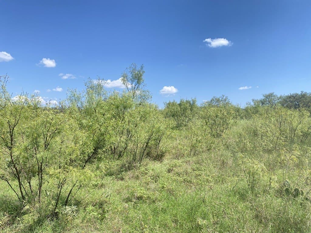 2.57 acres in Real County - photo 7