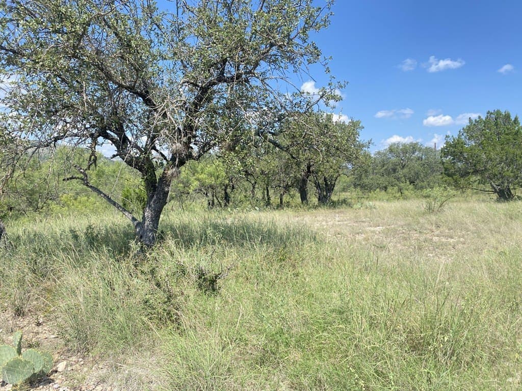 2.57 acres in Real County - photo 11