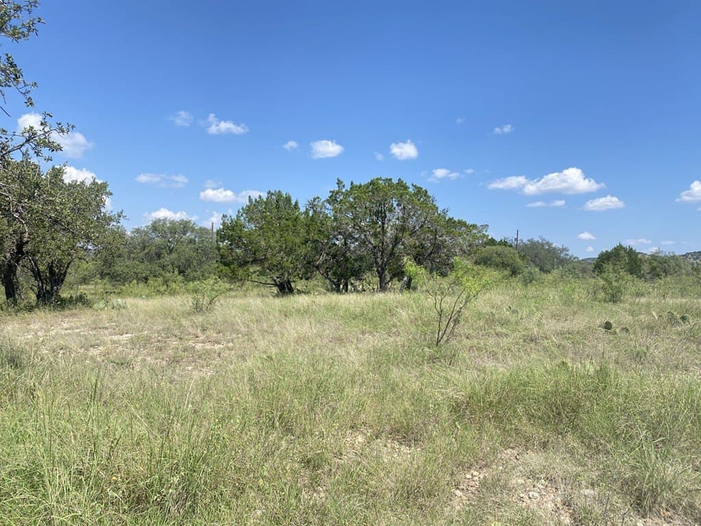 2.57 acres in Real County - photo 10