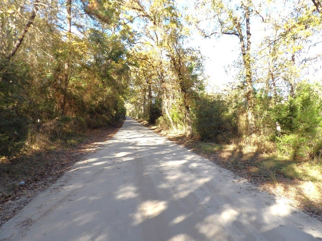 41.75 acres in Texas County - photo 31