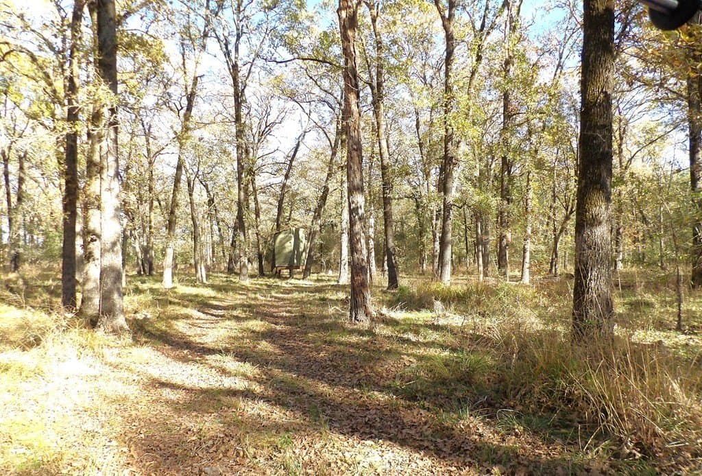 41.75 acres in Texas County - photo 19