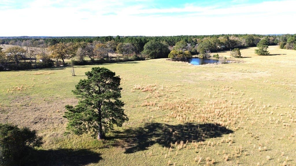 41.75 acres in Texas County - photo 11