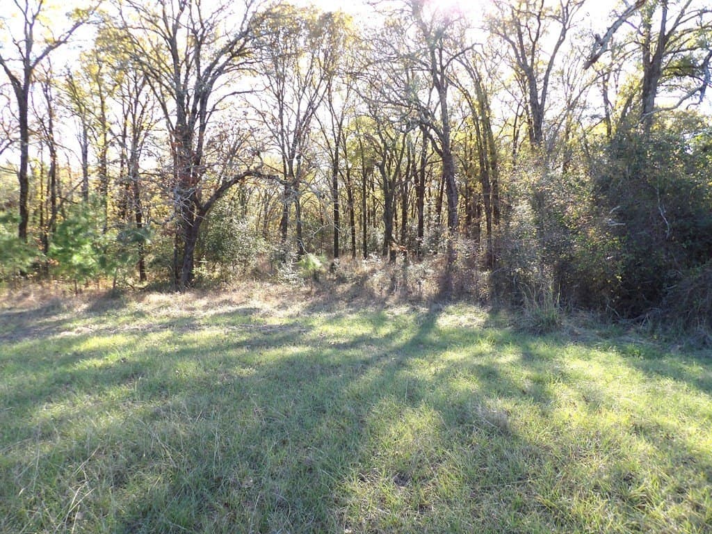 41.75 acres in Texas County - photo 22