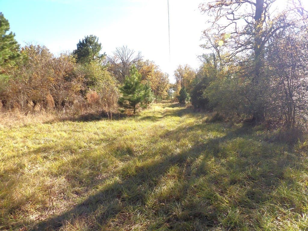 41.75 acres in Texas County - photo 17
