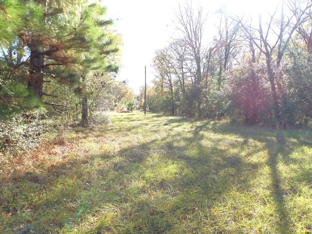 41.75 acres in Texas County - photo 16