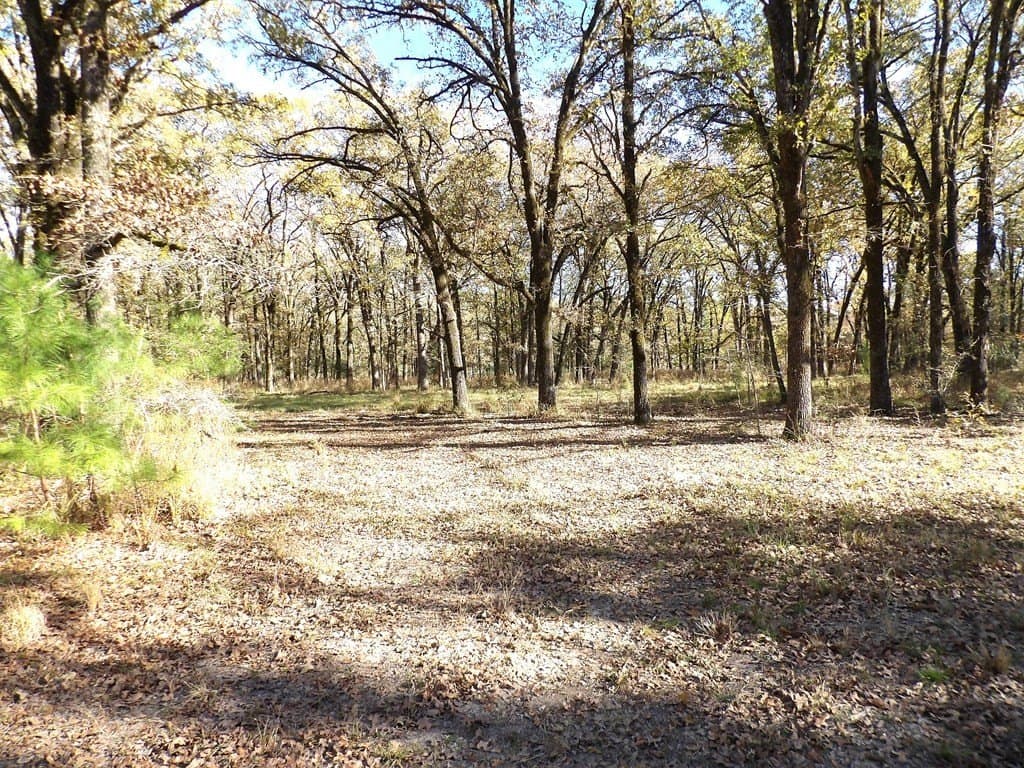 41.75 acres in Texas County - photo 18