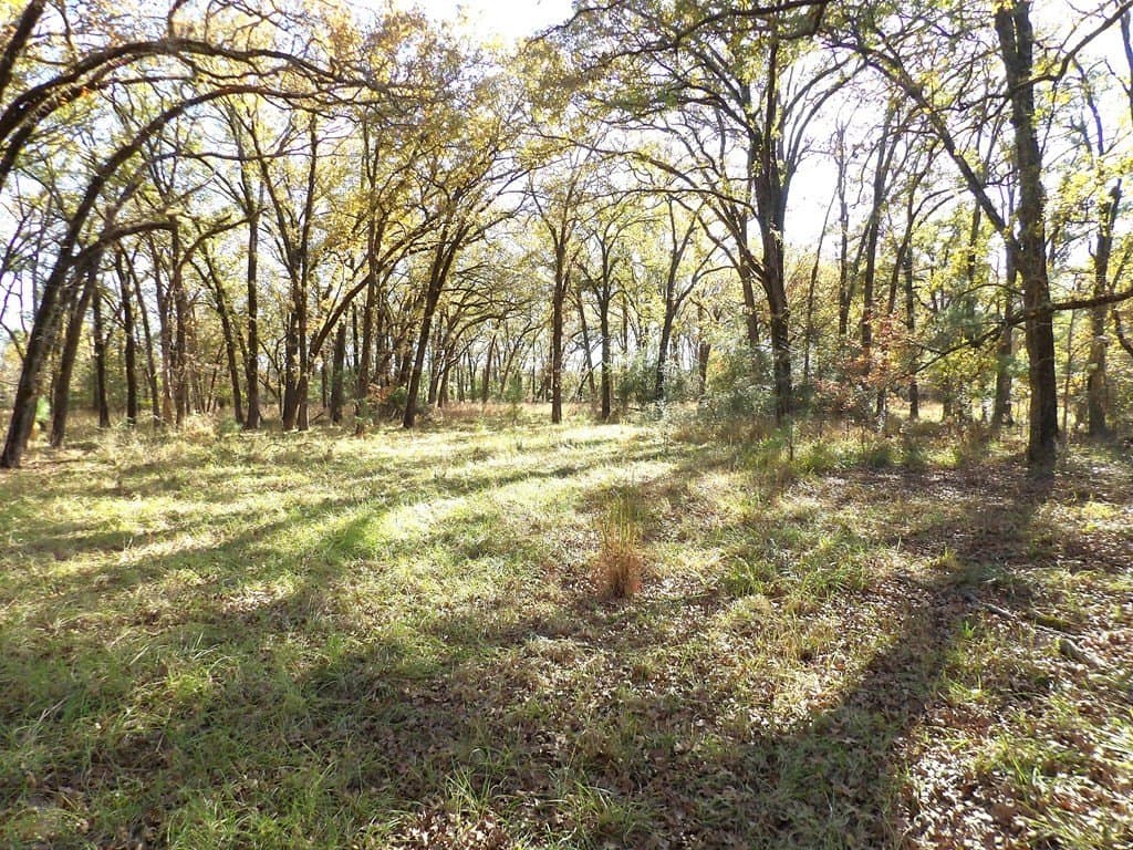 41.75 acres in Texas County - photo 21