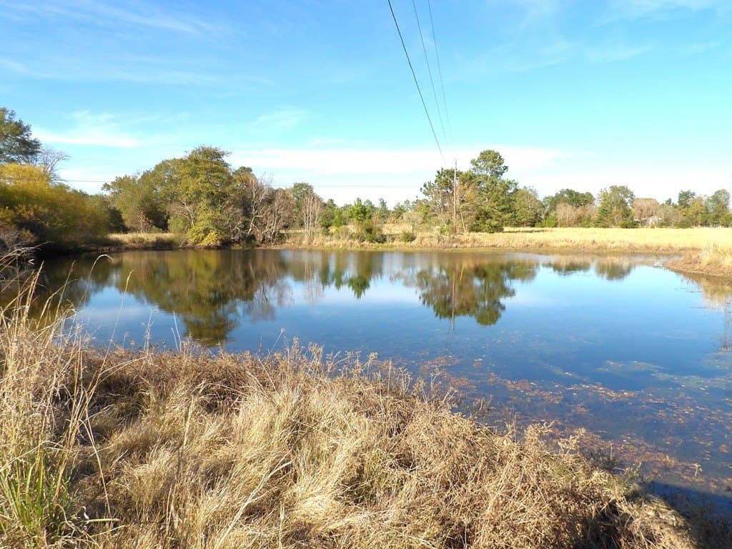 41.75 acres in Texas County - photo 8