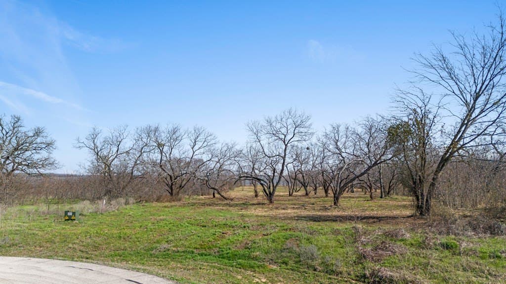 2.8 acres in Kaufman County gallery image 4