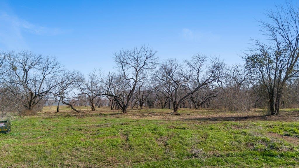 2.8 acres in Kaufman County gallery image 3