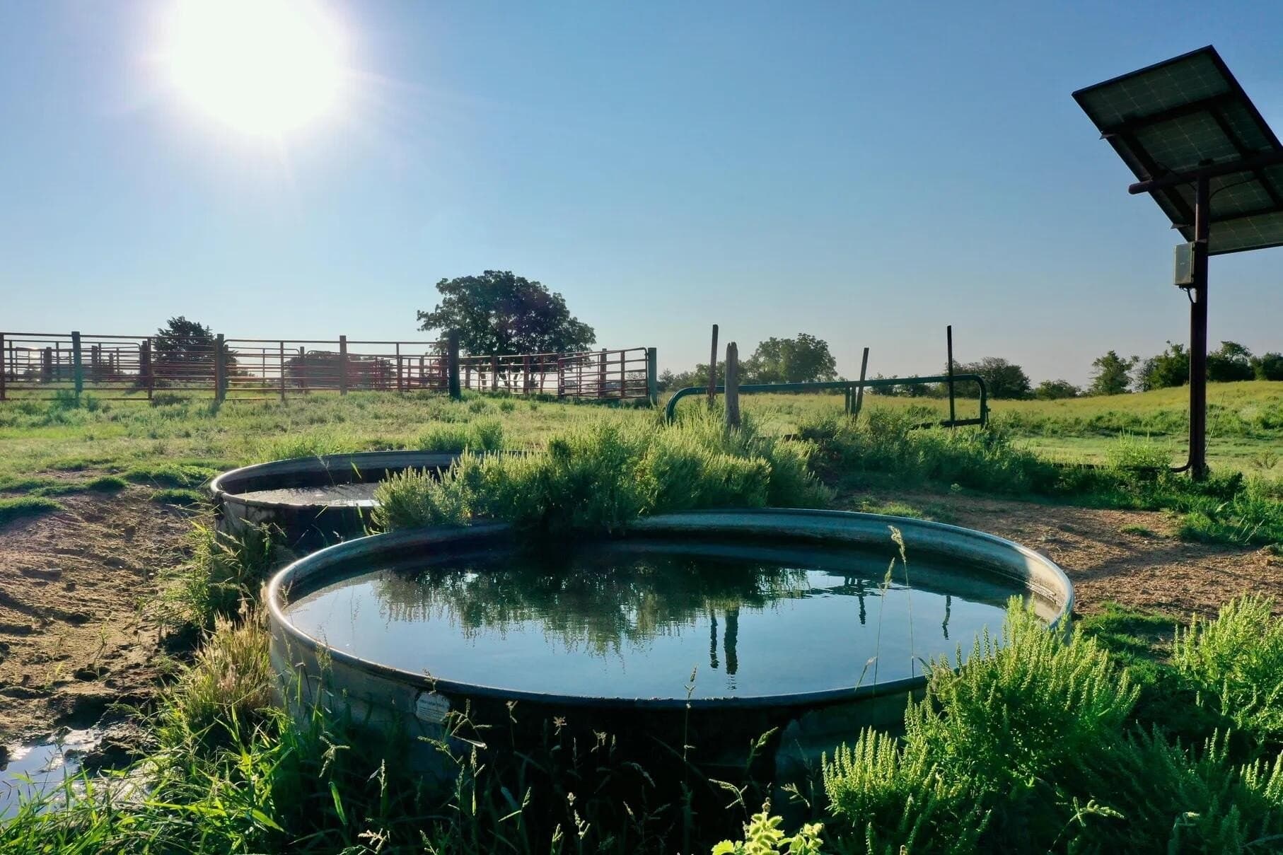 480 acres in Wheeler County